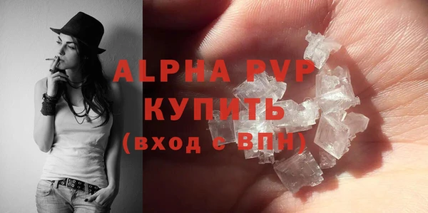 дживик Надым