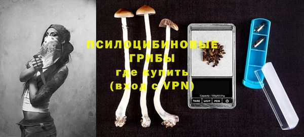 стафф Абдулино
