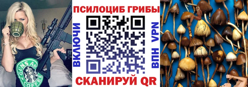 мега зеркало  Нальчик  Псилоцибиновые грибы прущие грибы  хочу наркоту 